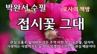 [박완서 수필/접시꽃 그대/두 친구] 관심 소홀로 잃어버린 것은 많다. 추억 어린 장소나 건물, 심지어는 사랑하는 사람까지도 늘 거기 있겠거니 믿은 무관심 때문이다.