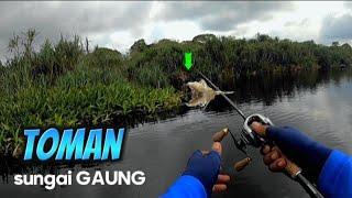 ASLI SEPOT NYA BIKIN NAGIH.CESTING TOMAN DI SUNGAI PEDALAMAN HUTAN SUMATRA