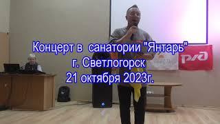 20231021 Горлица в санатории Янтарь Светлогорск