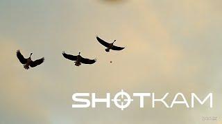 Охота на гуся ShotKam Goose Hunting