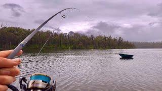 Wet Weather Brings The Fish On!! (Unexpected Catch)