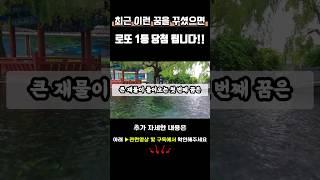 최근 이꿈을 꾸셨다면 로또 당첨등 재물운이 쏟아질 징조입니다 #대운 #재물복 #부자 #꿈 #풍수 #생활풍수 #꿈풍수
