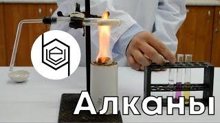 Алканы. Органическая химия