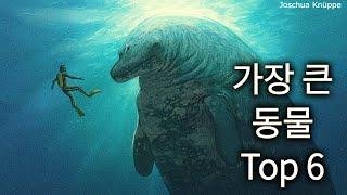 지구 역사상 가장 큰 동물은?