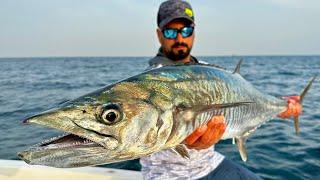 A Very Interesting Event Happened To Us!! / We Caught Monster Fish in Qatar