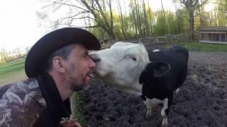 Обычная сельская жизнь в Деревне XXI века ЁДИШКИ