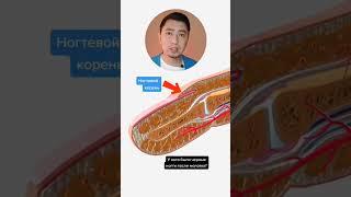 Не делайте это со своими пальцами!