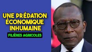 Gestion des filières agricoles  sous Patrice Talon : accaparement par selon Dr Adam Sounon Kondé