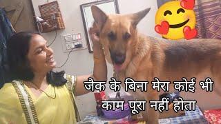 जैक का हर चीज में दखलंदाजी इसके बिना सबअधूरा है#vlog#funnydog#memohihinidog#anantrastogi#jackthegsd