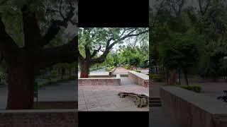 IIM Ahmedabad Campus through my lens #iimahmedabadcampus #iimahmedabad #iima