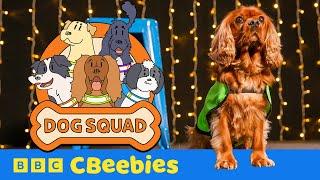 Dog Squad: Official Trailer | CBeebies