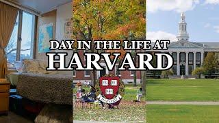 HARVARD: DAY IN THE LIFE! *Dorm & Food*