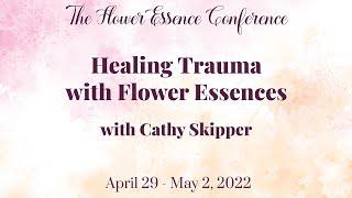 Healing Trauma with Flower Essences with Cathy Skipper (excerpt)