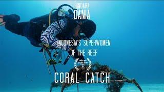 PADI AWARE Community Spotlight: Coral Catch – Creating Real Change Where It Matters Most