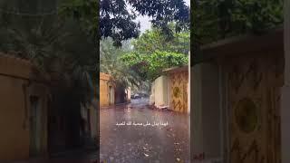 #محب_الخير_للغير (١)
