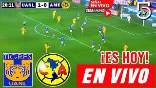 Tigres vs. América en vivo, Donde Ver Partido Tigres vs. América Jornada 3 Liga MX 2024 hoy