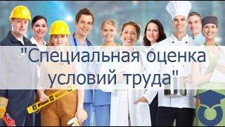 Специальная оценка условий труда