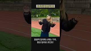 대전대학교 학과별 과잠 소개3