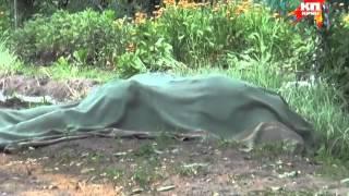Славянск хоронит своих жителей в день гибели