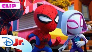 Marvel Spidey y su Superequipo: El dinosaurio | Disney Junior Oficial