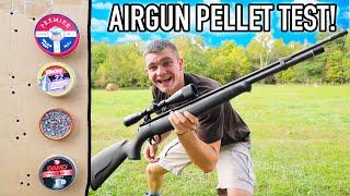 Airgun Pellet Accuracy Test! (Cheap vs Expensive)