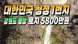 936,강원도 평창군 미탄면 기화리,대한민국 청정 1번지, 강원도 평창,토지 5800만원