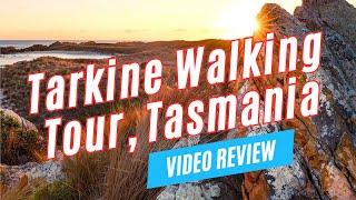 Amazing Things to Do in the TARKINE Wilderness, Tasmania | Walking Tour with Park Trek