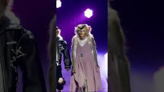 Glam Monkey vs. Rebel Monkey: Hilarious Runway Battle! 