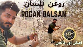 Roghan e balsan in Madina Badr  Roghan Balsan purest best quality