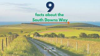 9 facts about the South Downs Way