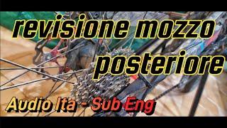 Revisione mozzo ruota posteriore mtb - tutorial