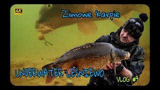 Łowienie karpi zimą  -- UNDERWATER film --Vlog #9