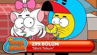 Kral Şakir 299. Bölüm - Sihirli Tohum  YENİ BÖLÜM