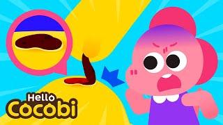 Don’t Scratch Scabs Song Why Do Scabs Itch? | Nursery Rhymes & Kids Song | Hello Cocobi