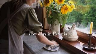 Life in Estonia | My Go-To Healthy Chocolate Brownies, Vintage Desk Makeover & Drying Herbs