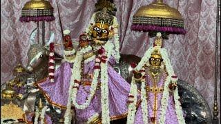 Shri Govind Dev Ji ki Gwal Jhanki श्री गोविन्द देव जी की ग्वाल आरती #16_June_2025 #monday #love #new