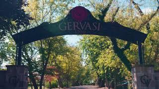 Welcome To Gervasi Vineyard