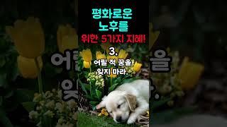 평화로운 노후를 위한 5가지 지혜|인생 후회 없이 사는 법#건강관리#마음의방향 #마음의방향 #노후준비 #노후건강 #자기수용 #생활습관 #면역력강화