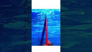 beautiful natural scenery drawing #bestscenery #shortvideo #acrylicscenery #painting