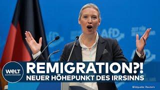 AFD IN DEUTSCHLAND: Bundesweites Allzeithoch für Kanzlerkandidatin Alice Weidel