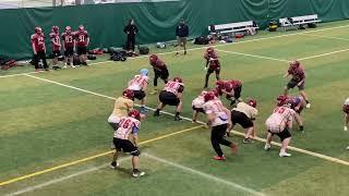 IMG 4385