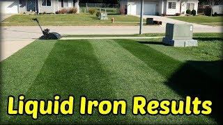 Does Liquid Iron Work? + Fall Lawn Mowing Fun