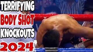 Most TERRIFYING Body Shot Knockouts in Boxing 2024