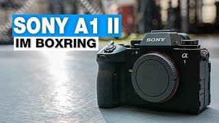 Sony A1 II I Im Boxring mit Fotograf Thomas Fähnrich