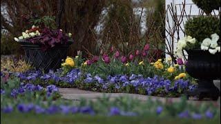 Peaceful Rainy Day Garden Tour 