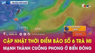 Cập nhật Thời điểm bão số 6 Trà Mi mạnh thành cuồng phong ở Biển Đông