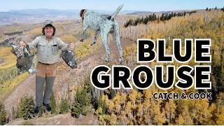 Blue Grouse Hunting! Catch Clean Cook!