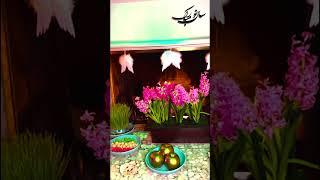 #happynowruz #siavashghomayshi