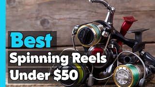 Top 5: Best Spinning Reels Under $50 In 2025  [ Amazon Budget Spinning Reels ]