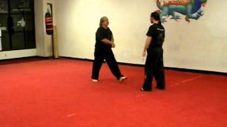 Master Bill Hulsey's Kung Fu San Soo Seminar 2011 day 1